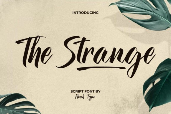 The Strange: A Bold Brush Script for Modern Design
